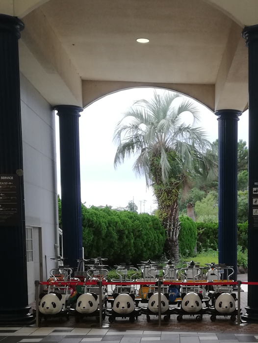 アドベンチャーワールド攻略法 子連れでも満喫できる回り方を紹介 うめログ